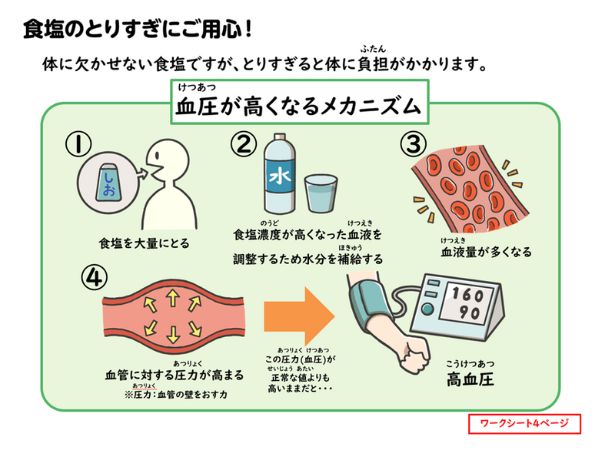 食塩摂取量資料2